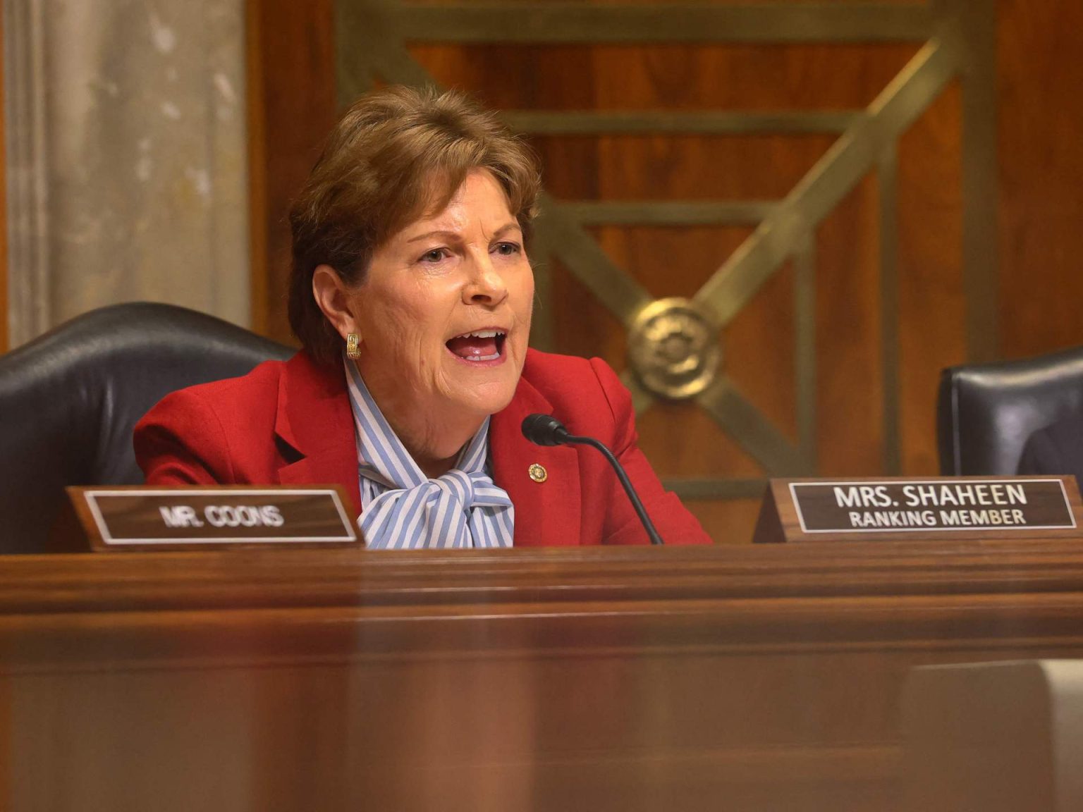 جين شاهين: أشعر بالاشمئزاز من قصف الصحفيين بغزة