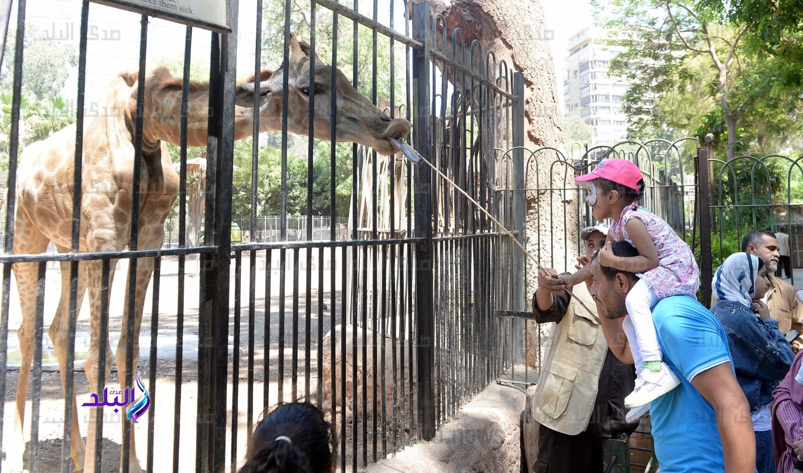 هل تصبح تذكرة حديقة الحيوان 400 جنيه؟ وزير الزراعة يحسم الجدل ويكشف موعد الافتتاح