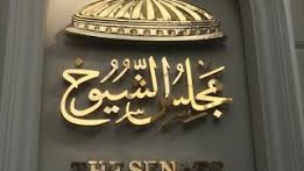 النظام الفردي.. ننشر أسماء الفائزين بانتخابات مجلس الشيوخ بمحافظة السويس