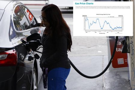 البيت الأبيض يروي أدنى أسعار غاز يوم العمل منذ عام 2020