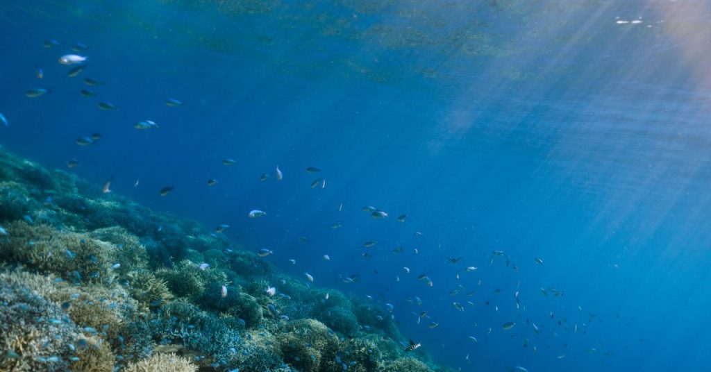 محيطات العالم تتجه نحو نقطة الانهيار