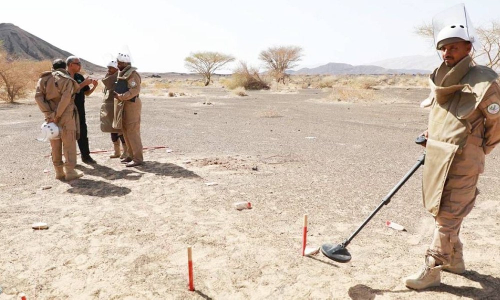 “مسام ينقذ اليمنيين من الألغام ويعيد الأمل”