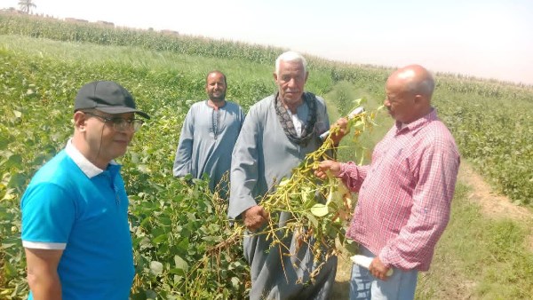 محافظ أسيوط: برامج توعية زراعية لتعظيم الاستفادة من المخلفات وتحقيق عائد اقتصادي مستدام