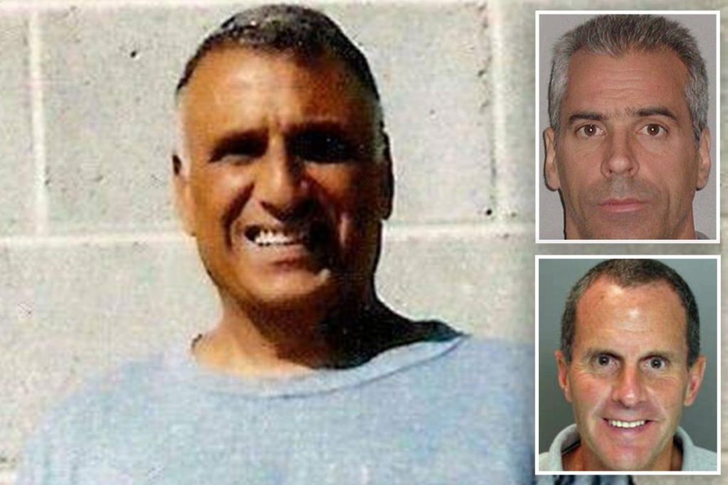 الغوغاء في مدينة نيويورك عبارة عن قشرة مثيرة للشفقة لما كانت عليه من قبل – مليئة بالمحتالين الصغار والجرذان والأغبياء: مصادر