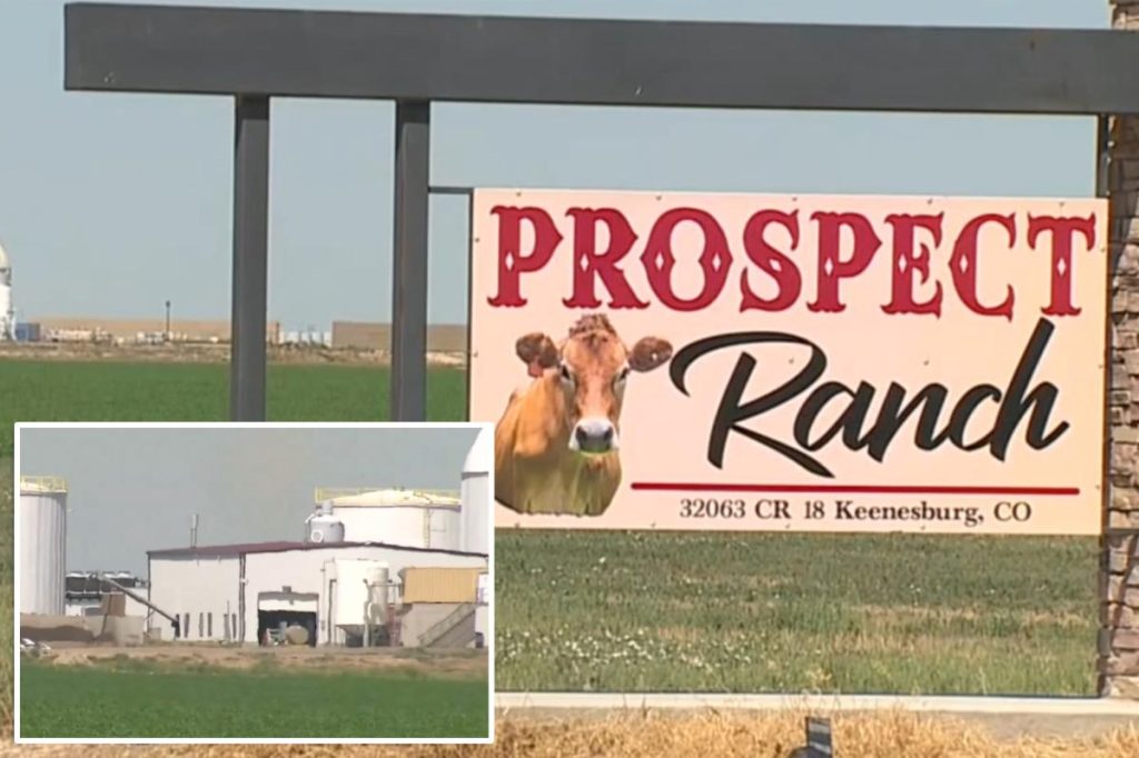 يشير تقرير الطبيب الشرعي عن 6 حالات وفاة في مصنع ألبان كولورادو إلى التعرض للغازات السامة