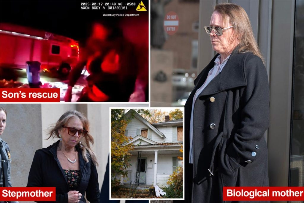 تريد زوجة الأب في بيت الرعب، كيمبرلي سوليفان، الكشف عن هوية ابن زوجها، وهو ما تصفه والدته البيولوجية بأنه “مريع”