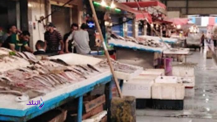القومي لعلوم البحار: نقص التغذية يعد أحد أهم أسباب انقراض الأسماك