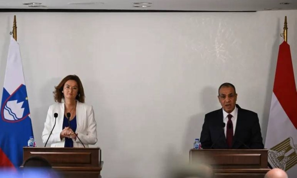 تقدم في مفاوضات غزة: تصريحات وزير خارجية مصر