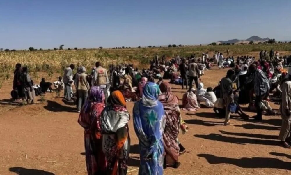 مصر تعلن رفضها لتقسيم السودان: موقف حازم وواضح