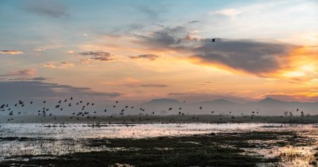 هطول الأمطار يدفن مطارًا ضخمًا في المكسيك