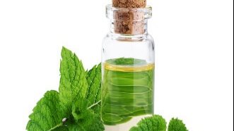 زيت النعناع الحل السحري الجيوب الأنفية