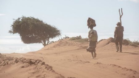 البرلمان العربي يبحث الحد من ظاهرة هدر الأغذية بالمنطقة