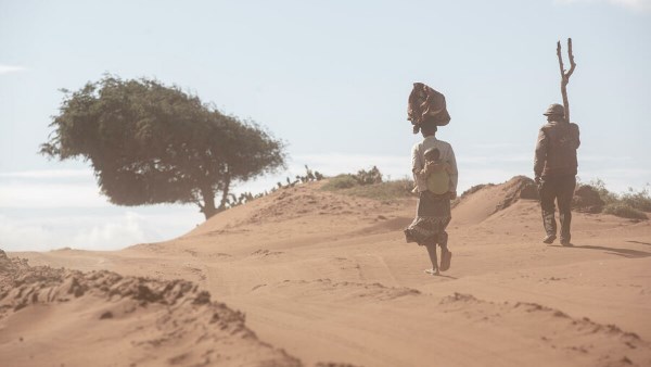 البرلمان العربي يبحث الحد من ظاهرة هدر الأغذية بالمنطقة