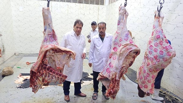 بيطري الأقصر يضبط لحوما غير صالحة للاستهلاك ويحرر محاضر للمخالفين