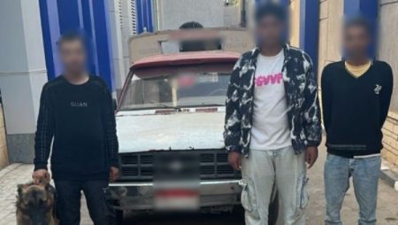 ترويع شاب معاق بكلب شرس داخل سيارة.. ماذا حدث في الفيوم؟