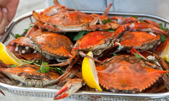 متبلة ولذيذة.. طريقة عمل الكابوريا