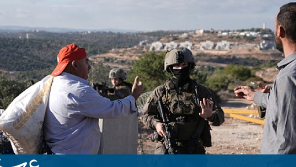 اعتداءات المستوطنين تتواصل بالضفة: سرقة الزيتون وإغلاق الطرق وحصار المدارس