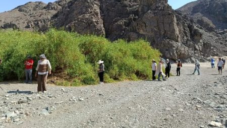 انطلاق مغامرة “يلا كامب” من مرسى علم بمشاركة 45 شابًا