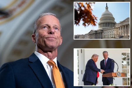 يقول زعيم الأغلبية في مجلس الشيوخ إنه لا يملك الأصوات اللازمة لإلغاء التعطيل على الرغم من رغبات ترامب