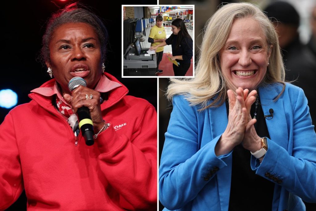 الديموقراطية أبيجيل سبانبرجر تفوز بانتخابات حاكم ولاية فيرجينيا ضد نائب حاكم الحزب الجمهوري وينسوم إيرل سيرز