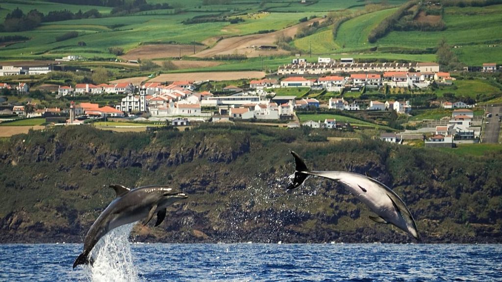 تهدد شركة رايان إير بوقف جميع رحلاتها إلى جزر الأزور اعتبارًا من عام 2026.