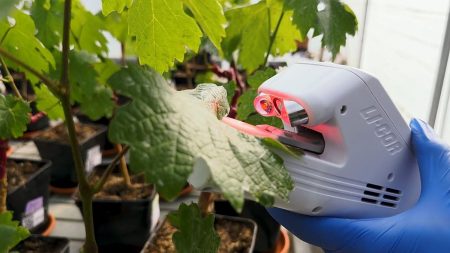 تعزيز القدرة على الصمود: كيف تساعد التكنولوجيا الحيوية الفرنسية المحاصيل على توفير المياه في جميع أنحاء العالم