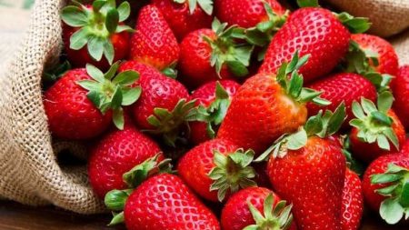 مصر في مقدمة الدول المصدرة للفراولة المجمدة عالميا