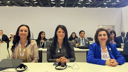 التضامن تنظم القمة العالمية الثانية للتنمية الاجتماعية