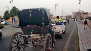 استرداد 2 فدان من أملاك الدولة بالأقصر والتحفظ على 3 حناطير مخالفة