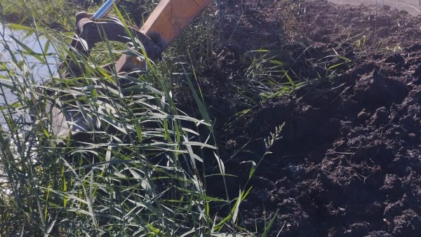 إزالة 5 مزارع سمكية مخالفة على أراضي الدولة بمساحة 100 فدان بمنطقة الشلاتيات جنوب بورسعيد