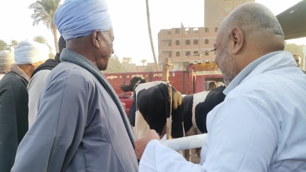الزراعة: حملات مكثفة للمرور على أسواق الماشية بالمحافظات لمتابعة استقرار الوضع الوبائي