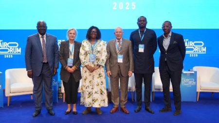 منتدى القاهرة الثاني Cairo forum2.. خبراء يرسمون ملامح أفريقيا التي ننشدها نحو الرخاء والتكامل