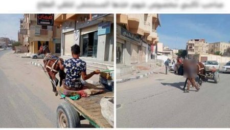 القبض على قائد عربة كارو صدم فتاة أجنبية بالعريش