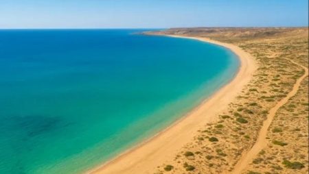 15 % أرباحا و250 ألف فرصة عمل.. مكاسب مصر من مشروع علم الروم العملاق