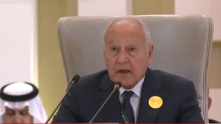 الجامعة العربية تشكل لجنة لمتابعة انتخابات مجلس النواب المصري