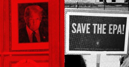 وكالة حماية البيئة في حالة من الفوضى