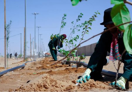 محافظة الليث تدشن موسم التشجير الوطني 2025