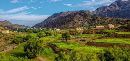 عسير تشارك في قمة “تورايز 2025” لتعزيز حضورها العالمي في صناعة السياحة