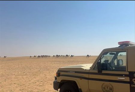 «الأمن البيئي» تضبط 3 مواطنين ومقيمين باكستاني ويمني لمخالفتهم نظام البيئة