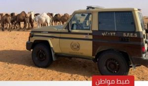 ضبط مواطن لارتكابه مخالفة رعي في محمية الإمام تركي بن عبدالله الملكية