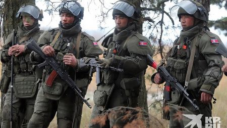 قوات كوريا الشمالية تزيل ألغاما في منطقة كورسك الروسية في إطار التعاون