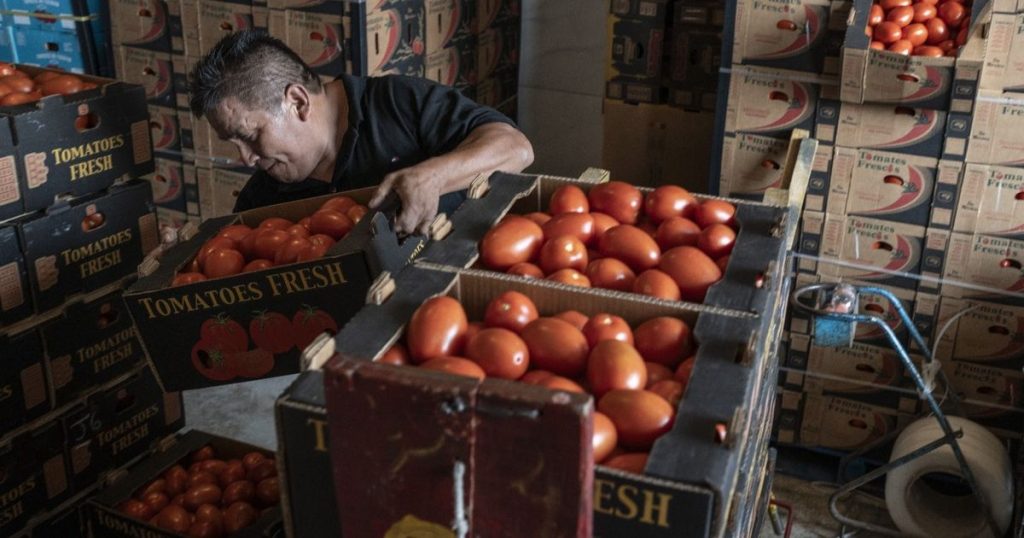 ترمب يخفض الرسوم على لحوم الأبقار والبن والطماطم والموز لضبط الأسعار