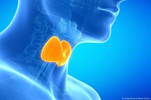 نقص اليود.. أعراضه ومخاطره