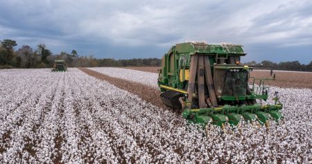 واشنطن تكشف تفاصيل حزمة بـ12 مليار دولار لمساعدة المزارعين