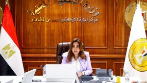 منال عوض : ضرورة إزالة أى متغيرات مكانية غير قانونية فى المهد