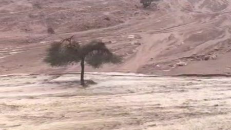 سيول الخير تجتاح وديان جنوب سيناء كأنهار متدفقة.. والمحافظة تُحكم السيطرة دون خسائر