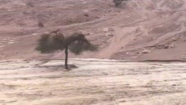 سيول الخير تجتاح وديان جنوب سيناء كأنهار متدفقة.. والمحافظة تُحكم السيطرة دون خسائر