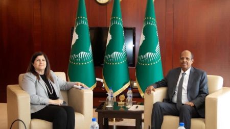 الاتحاد الأفريقي يجدد دعمه لفلسطين خلال زيارة وزيرة خارجيتها