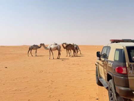 ضبط مواطن لارتكابه مخالفة الرعي في محمية الإمام عبدالعزيز بن محمد الملكية