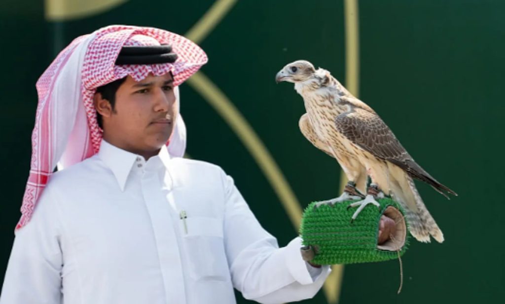 182 صقرًا يتنافسون في سابع أيام “كأس نادي الصقور السعودي”